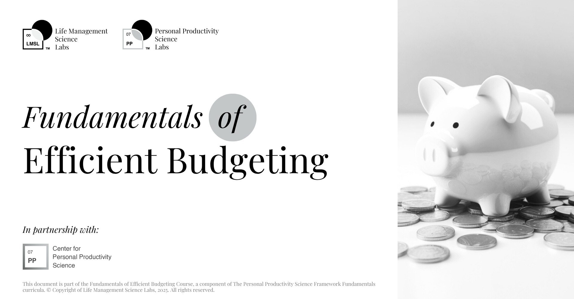 Fundamentals of Efficient Budgeting