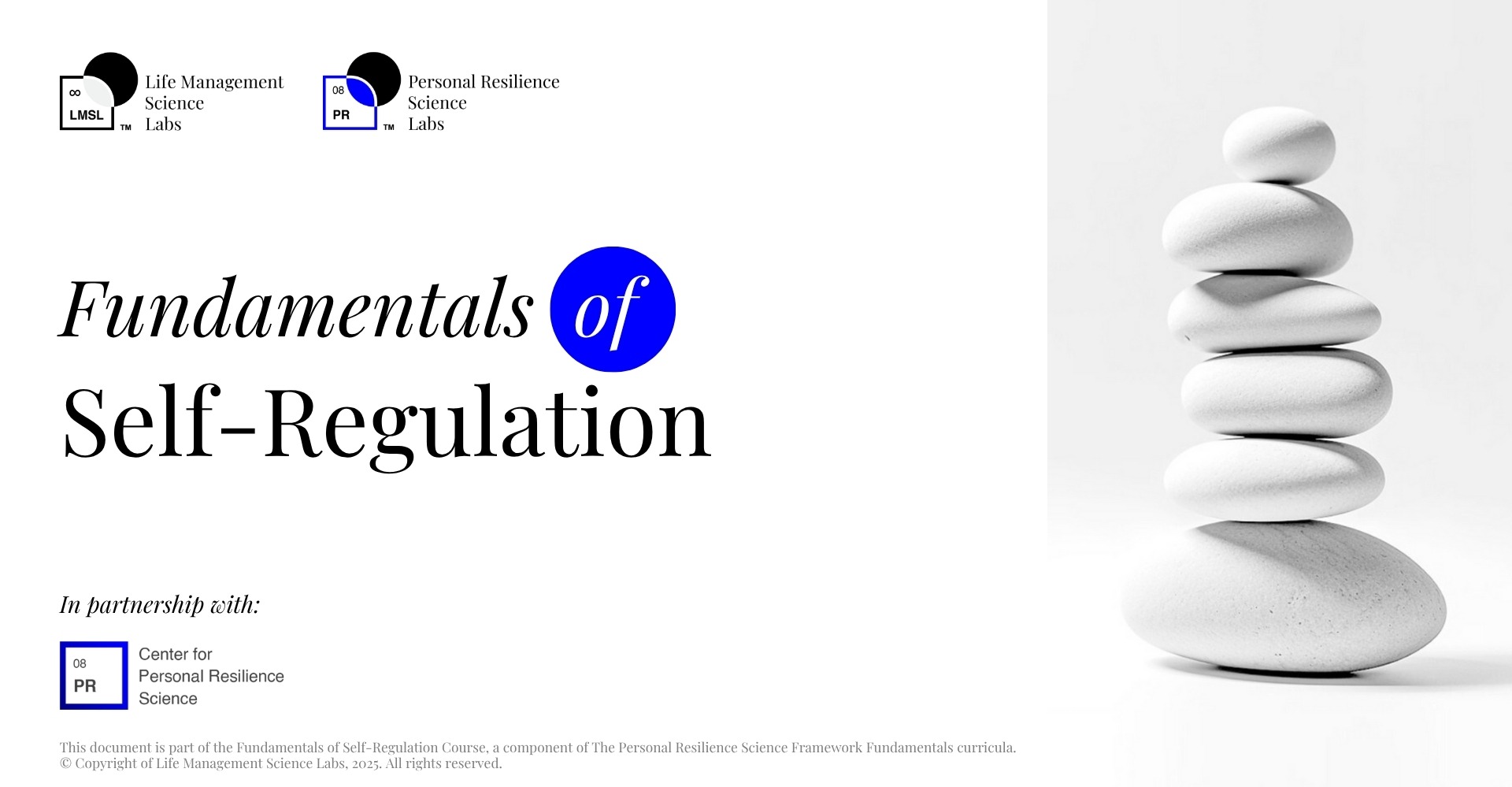 Fundamentals of Self-Regulation