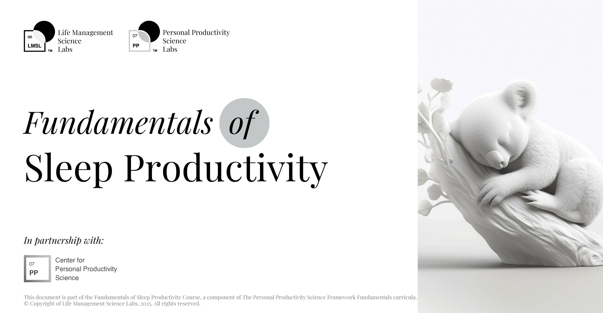 Fundamentals of Sleep Productivity