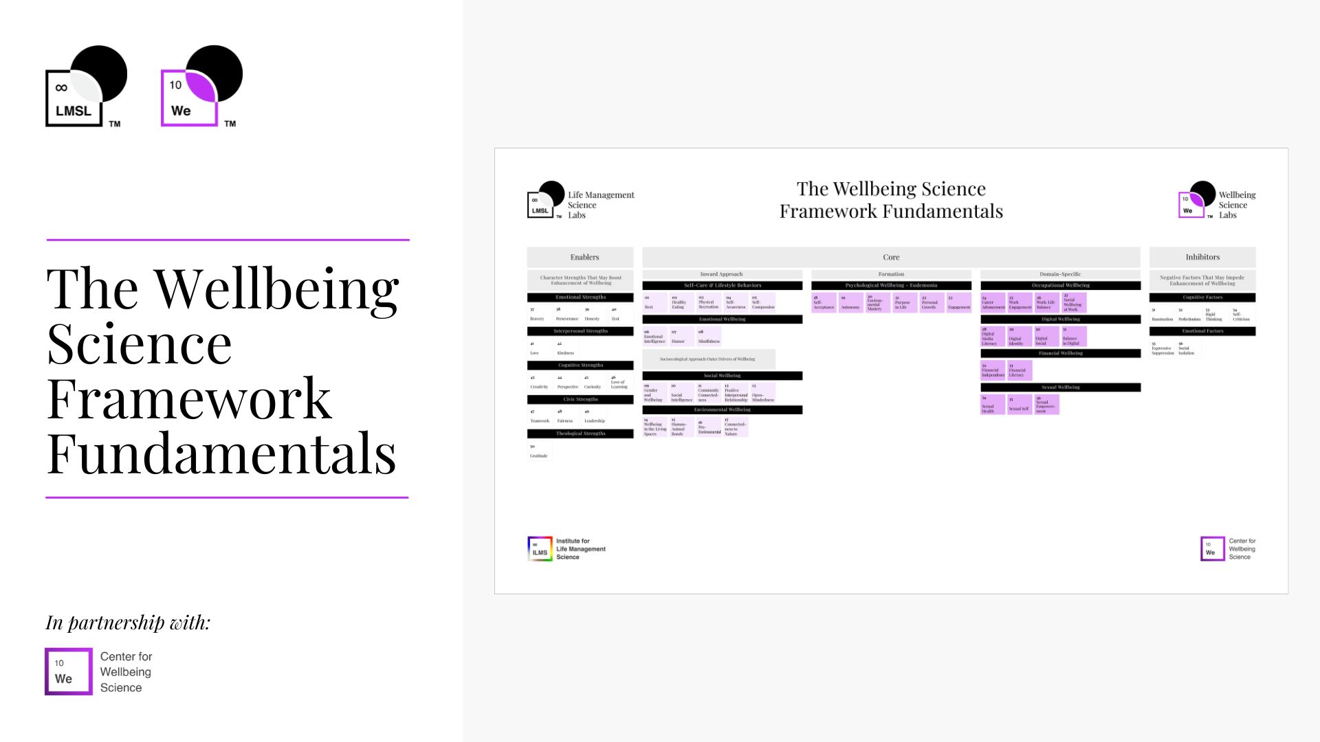 The Wellbeing Science Framework Fundamentals