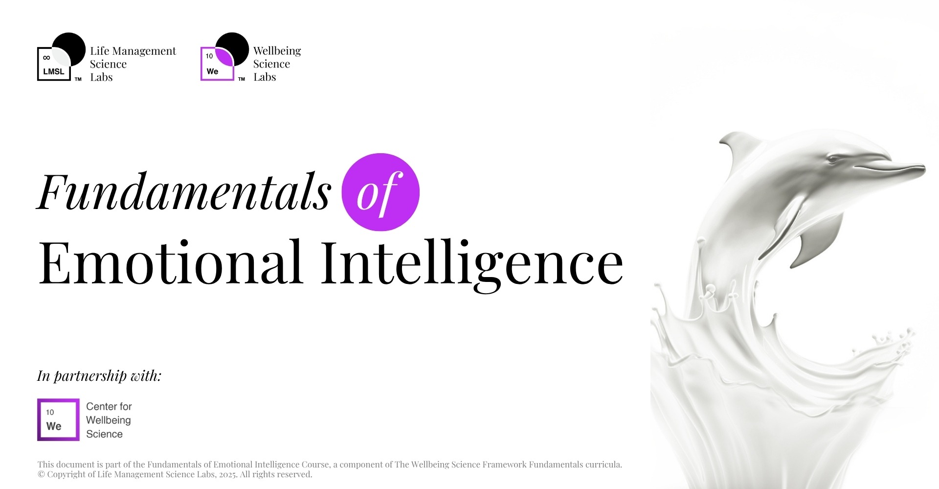 Fundamentals of Emotional Intelligence