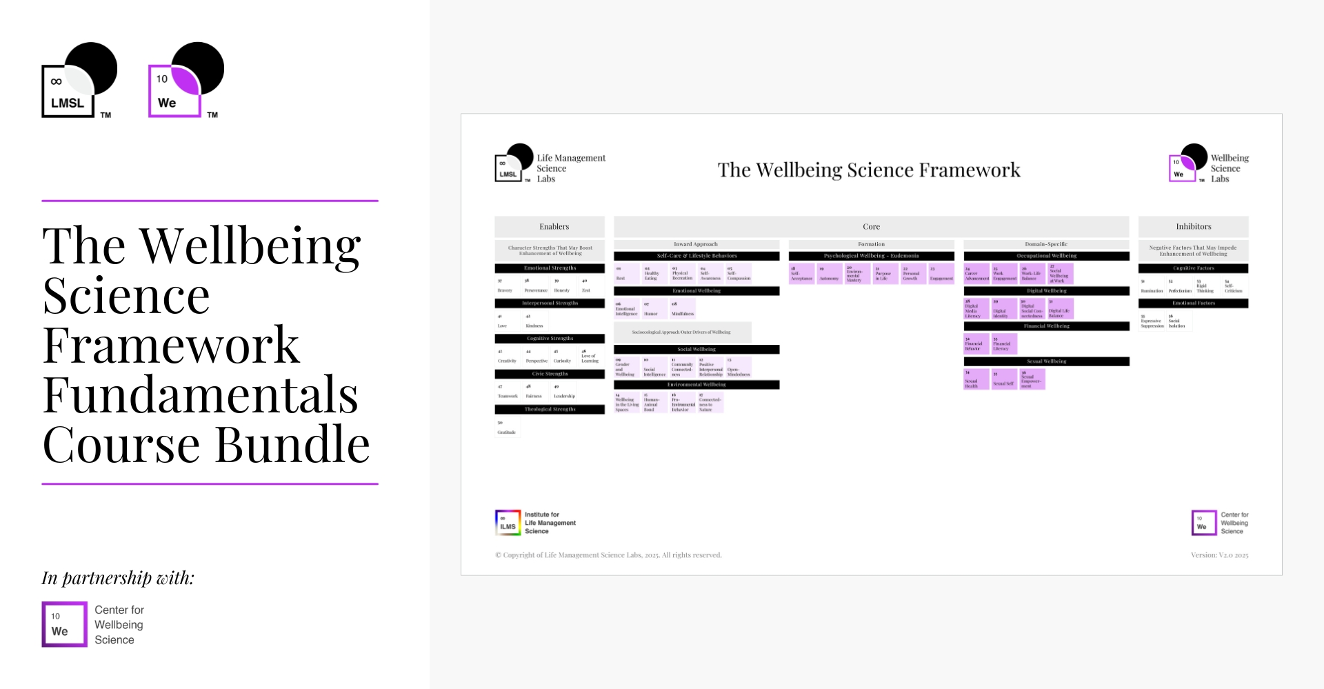 The Wellbeing Science Framework Fundamentals Course Bundle
