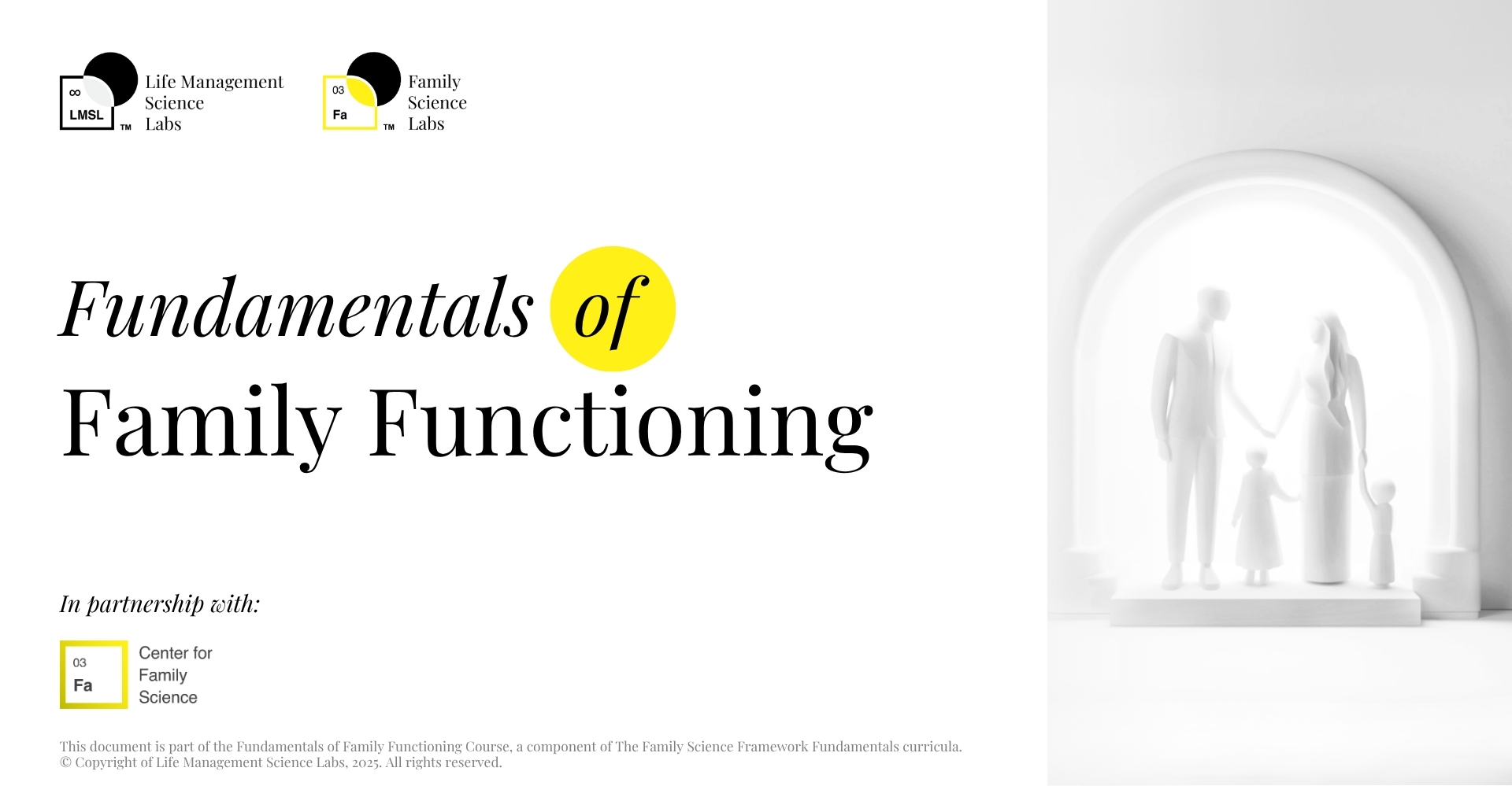 Fundamentals of Family Functioning