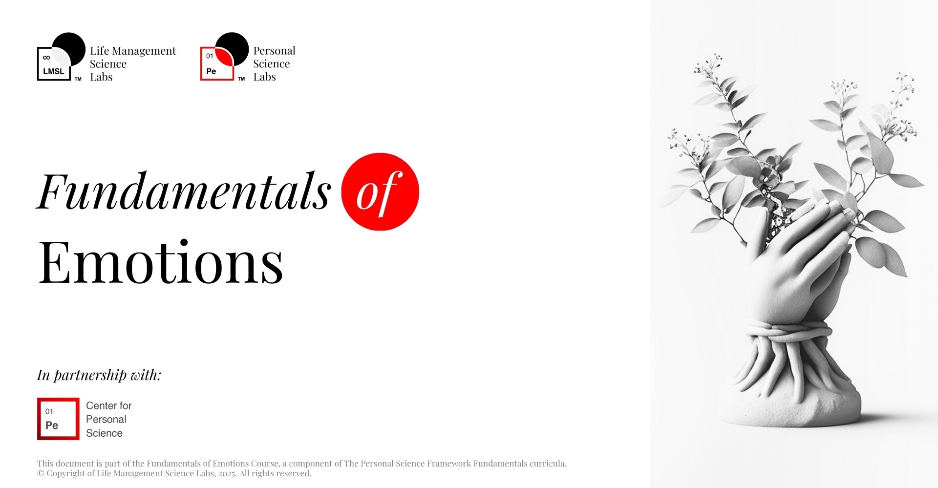 Fundamentals of Emotions