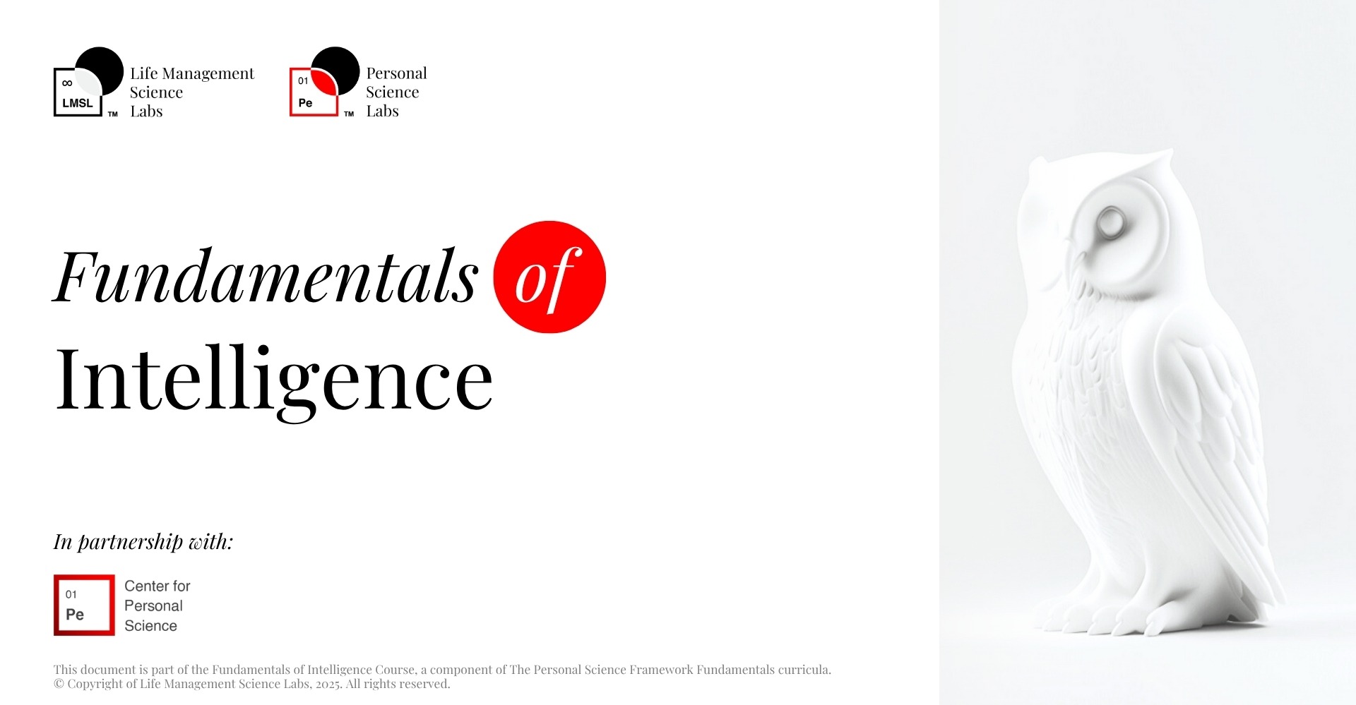 Fundamentals of Intelligence