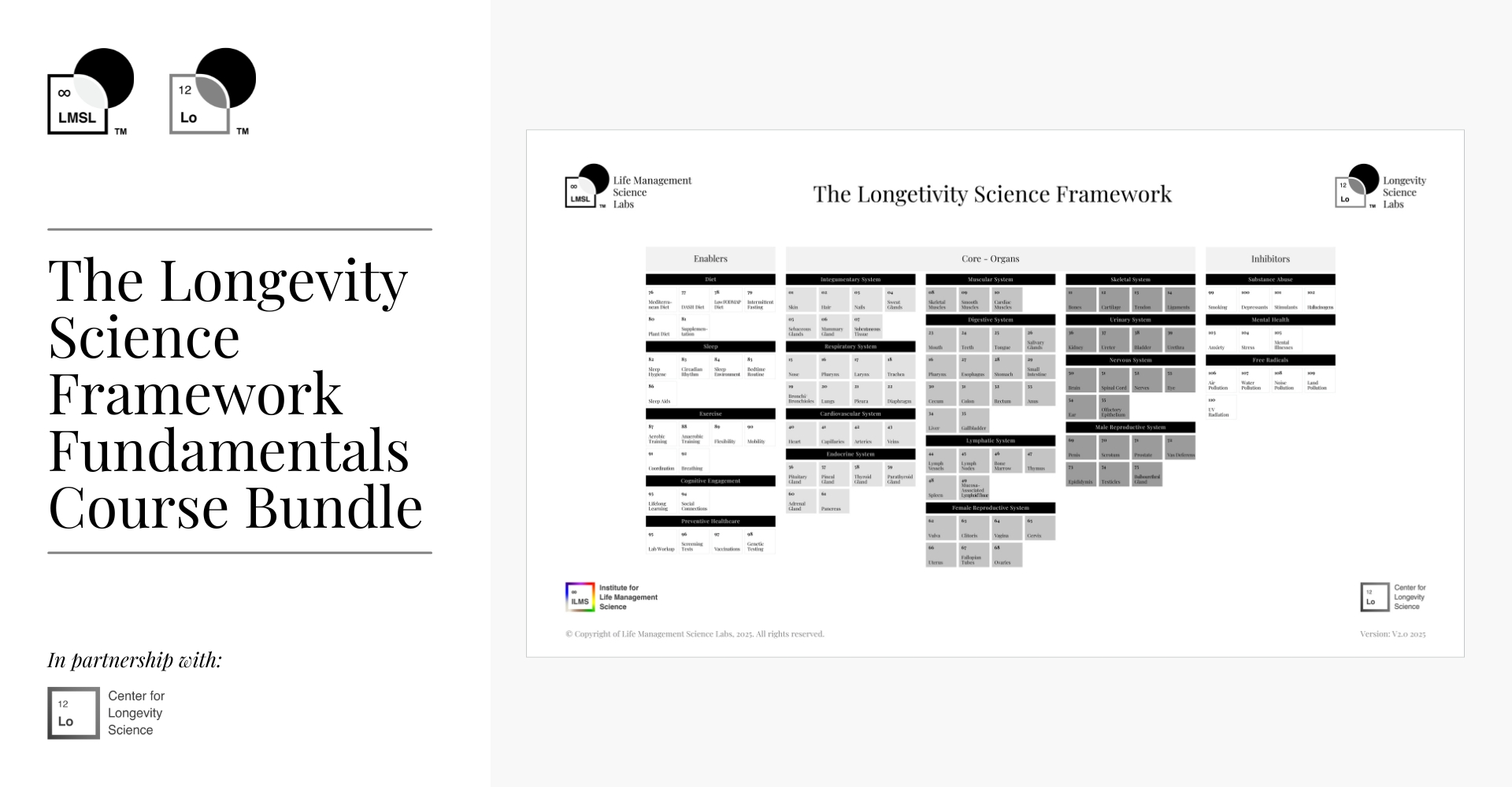 The Longevity Science Framework Fundamentals Course Bundle