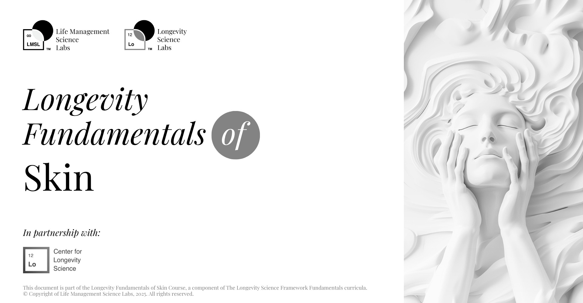 Longevity Fundamentals of Skin