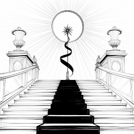 of people who engage in life coaching report increased self-confidence.