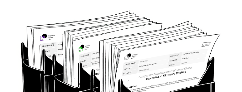 Assessment & Grading experience