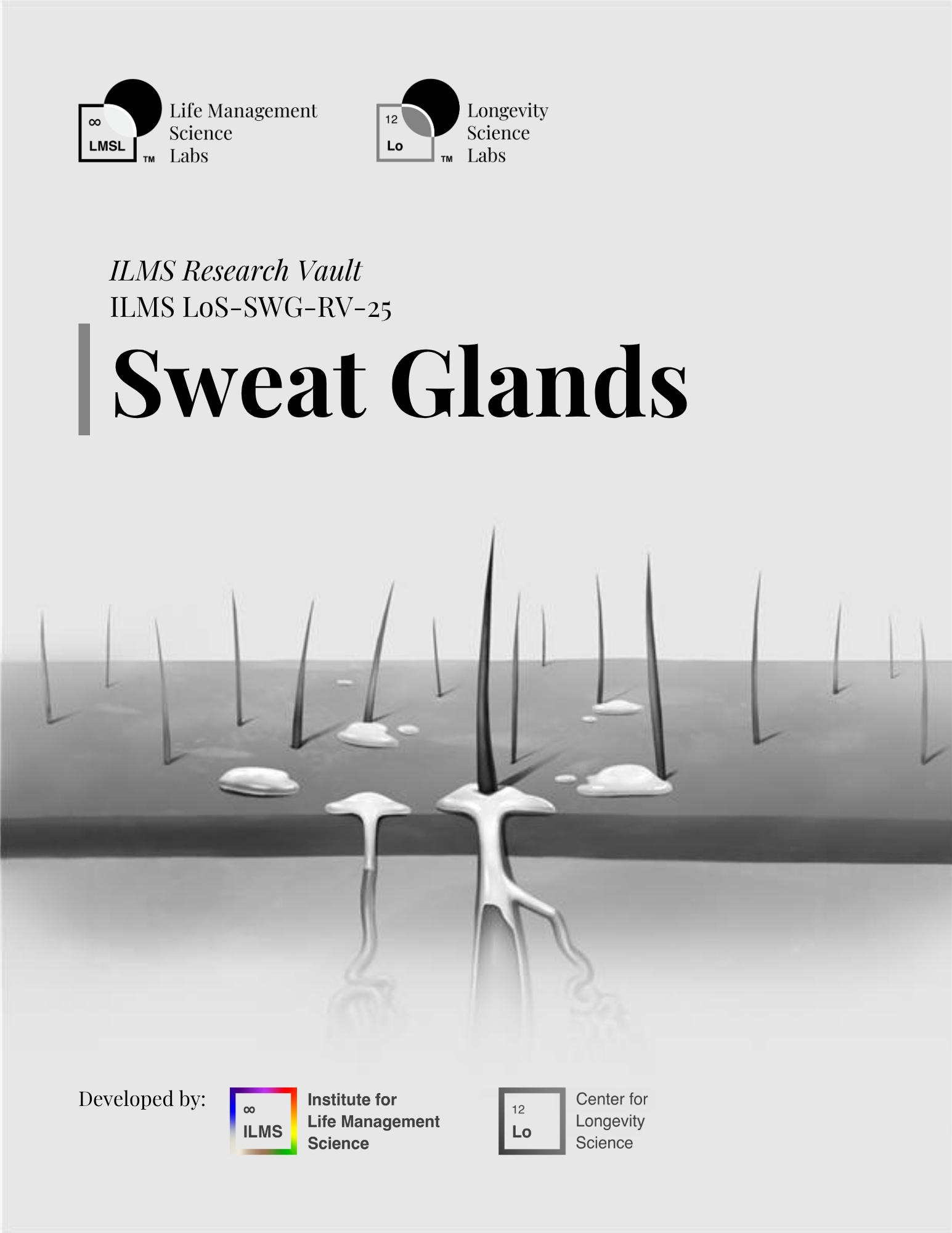Sweat Glands ILMS Research Vault